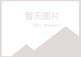 佛坪县晓夏化学有限公司